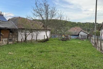 Teren de 570 mp, în Sălătrucel - 3