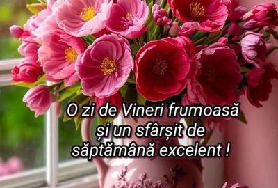 Casă cu Teren 9000 Mp în Poiana Vadului - 1