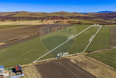 Teren agricol extravilan de 21893 mp, în Bod - 2