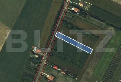 Teren de 2500 mp, în Sud - 5