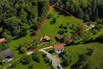 FILM! Proprietate autentica, Bran-Simon, 4.300 mp teren, casa traditionala + ane - 10