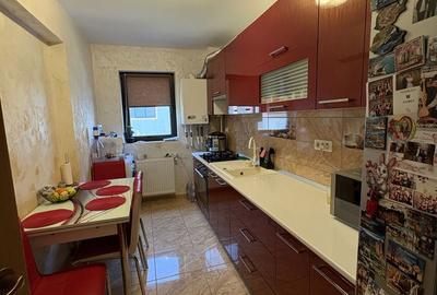 Apartament cu 2 camere decomandat în Roșu - 6