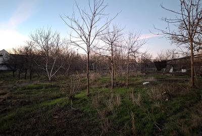 Casă în Dudeștii Vechi - 4