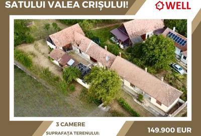 De vânzare casă familială în centrul satului Valea Crișului! - 1