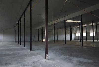 Spațiu industrial, de 3,000 mp, în Petea - 6