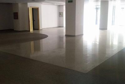 Spatiu comercial et 1 si 2 - 350mp /nivel ultracentral - 2