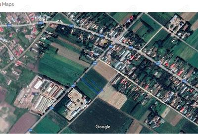 Teren de 5000 mp, în Cotorca - 3