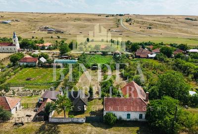 Casa caramida+ teren 3160+ cabana lemn Bencecu de Jos - 5