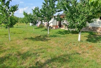 Giurgiu Loc de casa la 27 km de Bucuresti, 1265mp - 5