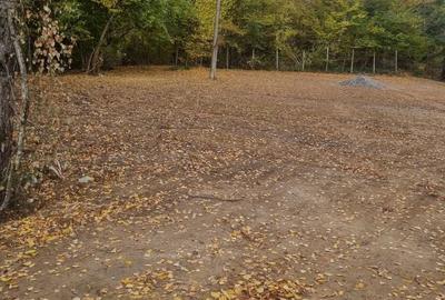 Spațiu comercial, în Ucea - 1