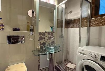 Inchiriere Apartament 2 camere Decomandat Podu Ros - Palas - 11