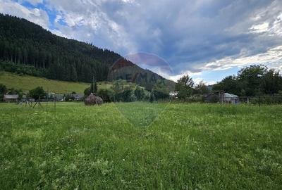 Teren intravilan 4822 mp C. Moldovenesc, Suceava - 11