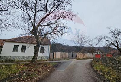 CASA 3 CAMERE SINCA NOUA / 5650 mp teren - 1