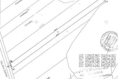 Spațiu comercial, în Bolovani - 5