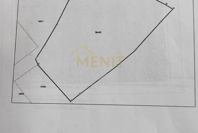 Teren Construcții intravilan de 1061 mp, în Băicoi - 5