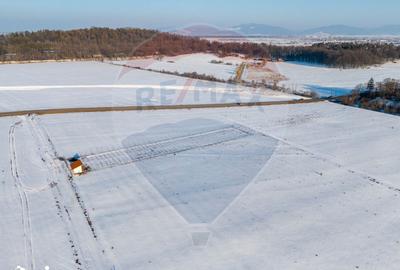 Teren de 4300 mp, în Sânpetru - 8