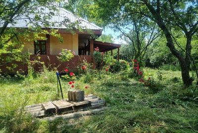 Casa si teren Comuna Fagetelu - 3