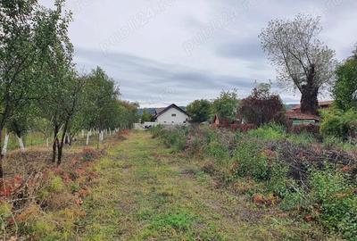 Teren intravilan, Goranu-Lespezi - 1