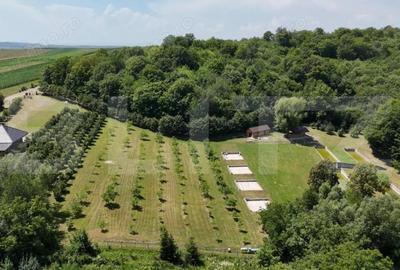 Spațiu comercial, de 56 mp, în Central - 9