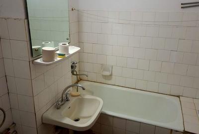 Apartament cu 3 camere decomandat în Exercițiu - 9