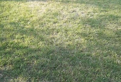 Teren intravilan 2000mp - 7