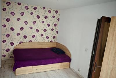 Apartament cu 2 camere semidecomandat în Banat - 2