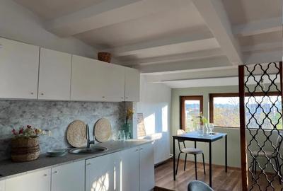 Apartament decomandat în Iancu Nicolae - 8