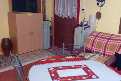 Casă cu 2 camere cu Teren 250 Mp în Ozun - 3