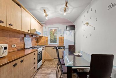 Apartament cu 3 camere de inchiriat - zona Boul Rosu - 5