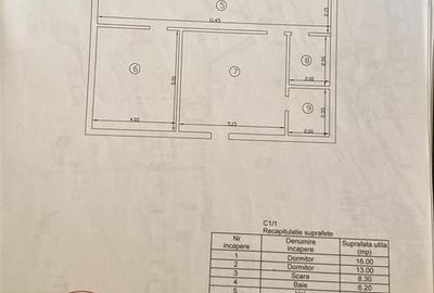 Valea Lupului Vila LUX  S+P+E+M su-320mp teren 750mp str Victoriei planul 2 - 21