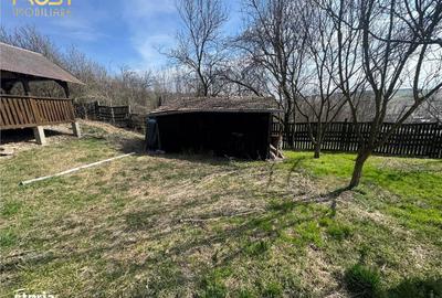 Teren de 11400 mp, în Apahida - 3