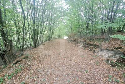 Casa de vanzare Colonia 1 Mai 75.000 EURO - 11