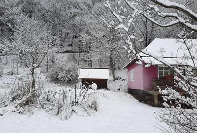 Casă cu 2 camere cu Teren 4721 Mp în Lunca Vișagului - 2