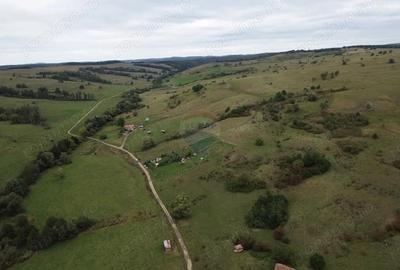 Teren de vanzare, 65 hectare - Agnita - 6