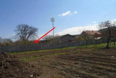 Teren intravilan Loc. Spini, comuna Turdas, jud. Hunedoara - 7