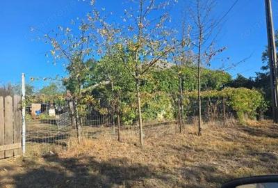 Casa si teren-Com Tamadau Mare, jud. Calarasi - 4