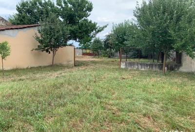 Casă cu 6 camere în Belinț - 1