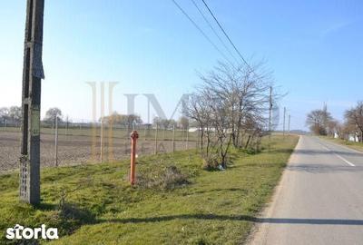 Teren de 5600 mp, în Sălcioara - 6