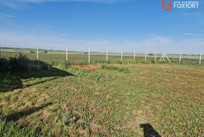 Teren agricol extravilan de 3500 mp, în Remetea Mare - 5