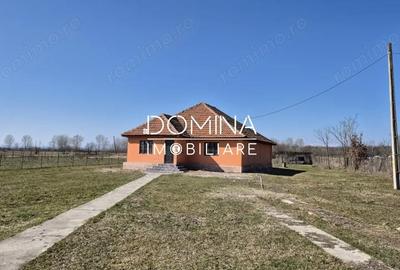 Casă cu 3 camere cu Teren 8658 Mp în Scoarța - 2