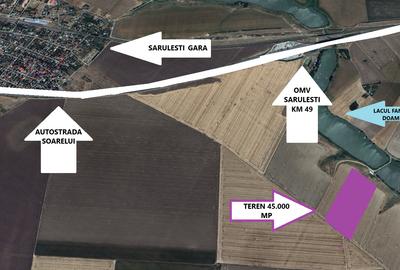 Proprietar - Teren 45000 mp Sarulesti - Gara - pe malul lacului - 2