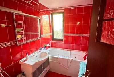 CENTRU TEATRU DE STAT 3 CAMERE ETAJ 2 LOC PARCARE 500 EURO TERMEN LUNG - 7