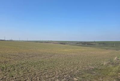 Teren Construcții intravilan de 7500 mp, în Exterior Nord - 1