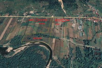 Teren Construcții intravilan de 38054 mp, în Groși - 7