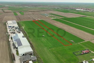 Teren de 11000 mp, în Apateu - 4