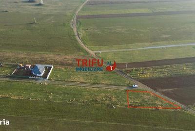 Teren de 600 mp, în Bărăbanț - 2