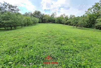 Casă cu Teren 3287 Mp în Câmpina - 5