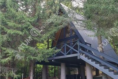 Casa tip A  Frame de inchiriat in Avrig zona Valea Avrigului,Porumbacu - 2