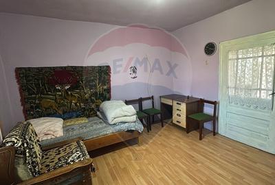 Casă individuală cu 3 camere cu Teren 2241 Mp în Sânnicolau Român - 12