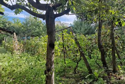 Casa de vanzare cu teren generos 910 mp Tulcea, zona Big 23 August - 6